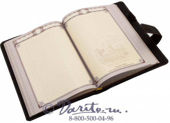 Ежедневник «Федерация»