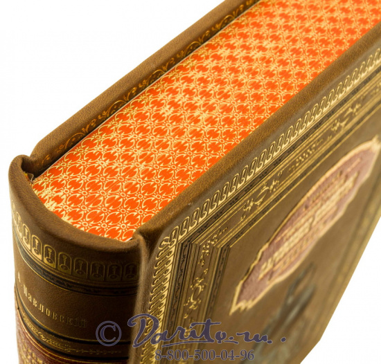 Книга «Паровозное хозяйство»