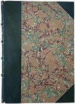 Антикварная книга. Гоголь Н.В. Похождения Чичикова, или Мертвые души. Поэма (1910г.)