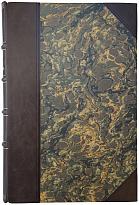 Антикварная книга. Десять лет советского строительства (1927г.)