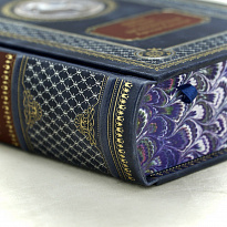 Книга в коже Гвианские робинзоны (с илл.) автор Буссенар