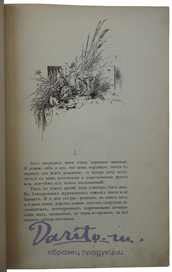 Антикварная книга. Каразин Н.Н. С севера на юг. Путевые воспоминания старого журавля (1890г.)