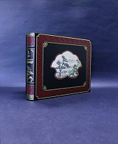 Книга «Живописная Япония»