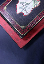 Книга «Живописная Япония»