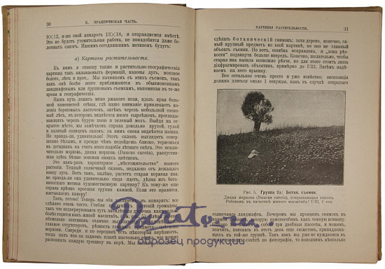 Антикварное издание «Фотография с природы»