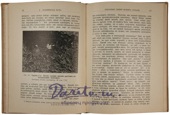 Антикварное издание «Фотография с природы»