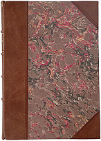 Кирилов Н. Скрипачи XVII, XVIII и XIX столетий (Антикварная книга 1873г.)