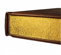 Книга «Древности Российского государства»