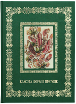 Книга в подарок «Красота форм в природе. Иллюстрации Э. Геккель»