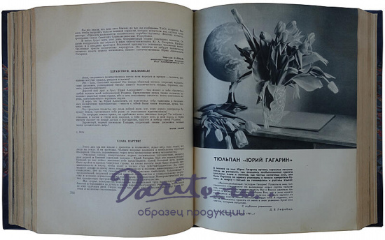 Утро Космической Эры (Издание 1961г.)