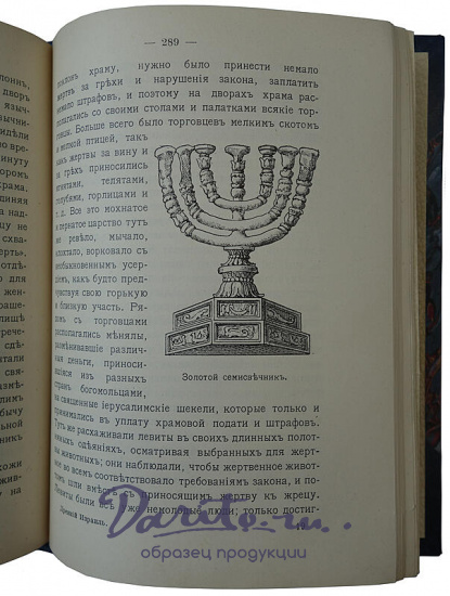 Никольский Н. Древний Израиль. Популярные очерки по истории евреев в научном освещении (Антикварная книга 1911г.)
