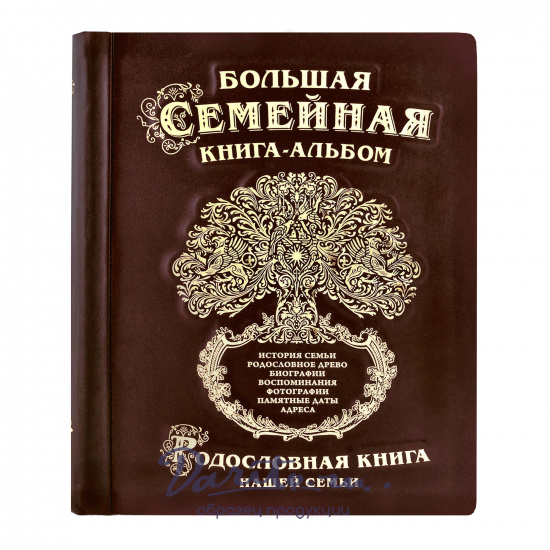 Большая семейная родословная книга-альбом в кожаном переплете с тиснением