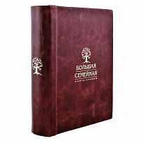 Большая семейная книга-альбом в кожаном переплете с тиснением