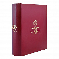 Большая семейная книга-альбом в переплете из экокожи с тиснением