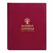 Большая семейная книга-альбом в переплете из экокожи с тиснением