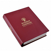 Большая семейная книга-альбом в переплете из экокожи с тиснением