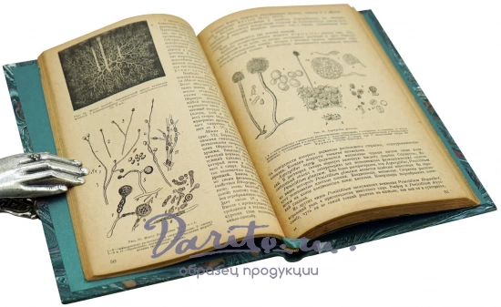 ОБЩАЯ МИКРОБИОЛОГИЯ. проф. Худяков Н.Н.Антикварная книга 1934 г.