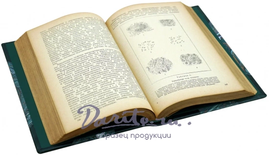Микробиология. П.Н. Кашкин. Антикварная книга 1939 год.