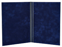 Папка адресная с золотым тиснением «Герб РФ»