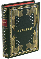 Книга «Финансы Ан»
