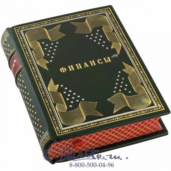 Книга «Финансы Ан»