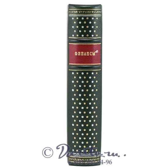 Книга «Финансы Ан»
