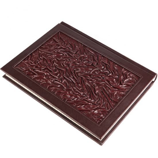 Евстигнеев А. А. , Книга «Ангелы, Архангелы и другие Силы Небесные»