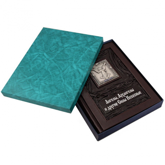 Евстигнеев А. А. , Книга «Ангелы, Архангелы и другие Силы Небесные»