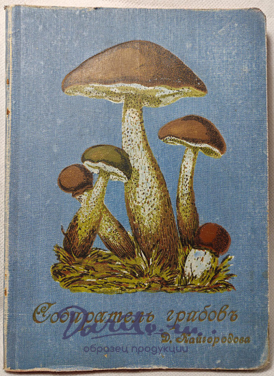 Кайгородов Д. Собиратель грибов (Антикварная книга 1915г.)