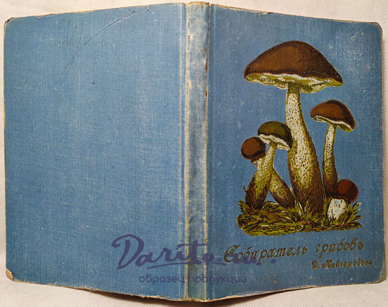 Кайгородов Д. Собиратель грибов (Антикварная книга 1915г.)