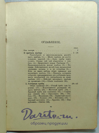 Кайгородов Д. Собиратель грибов (Антикварная книга 1915г.)