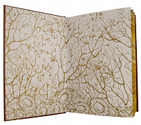 Подарочная книга «Поднятая Целина»