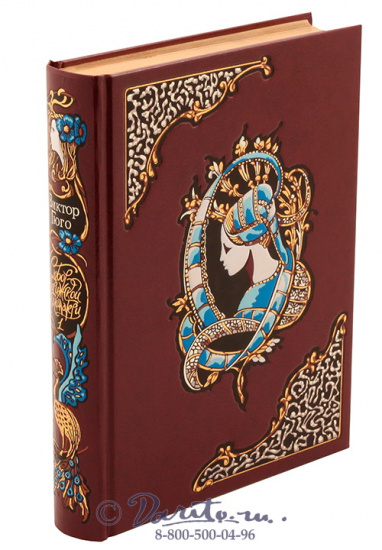 Гюго В. М., Книга «Собор Парижской Богоматери»