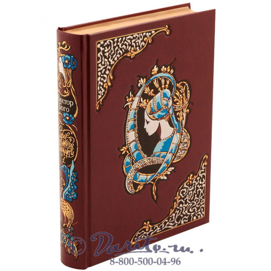 Гюго В. М., Книга «Собор Парижской Богоматери»