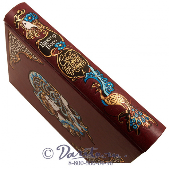 Гюго В. М., Книга «Собор Парижской Богоматери»