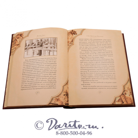 Гюго В. М., Книга «Собор Парижской Богоматери»