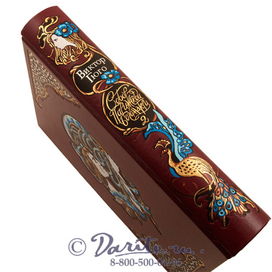 Гюго В. М., Книга «Собор Парижской Богоматери»