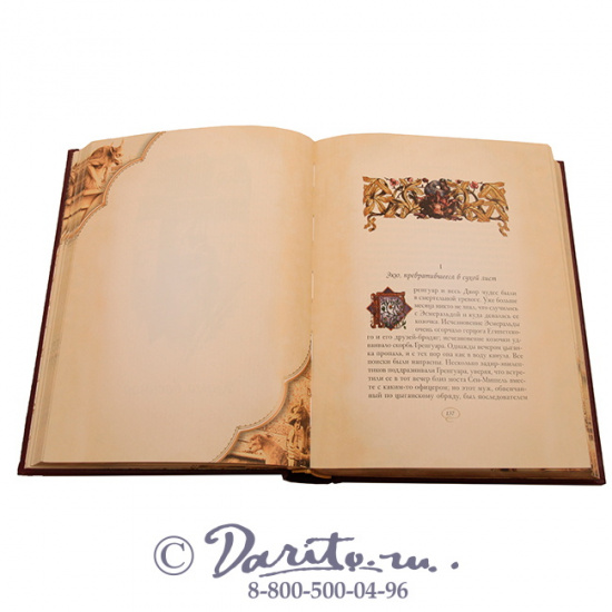 Гюго В. М., Книга «Собор Парижской Богоматери»