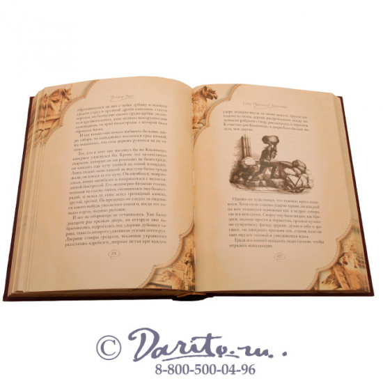 Гюго В. М., Книга «Собор Парижской Богоматери»