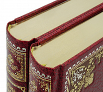 Книга «Горбун, или маленький парижанин»