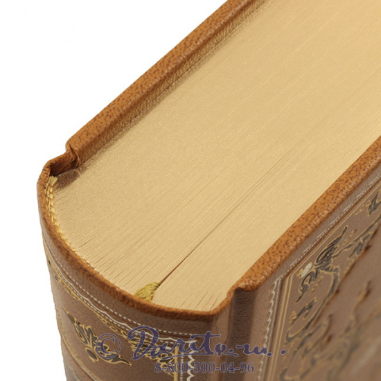 Рид Т. М., Книга «Белый вождь»