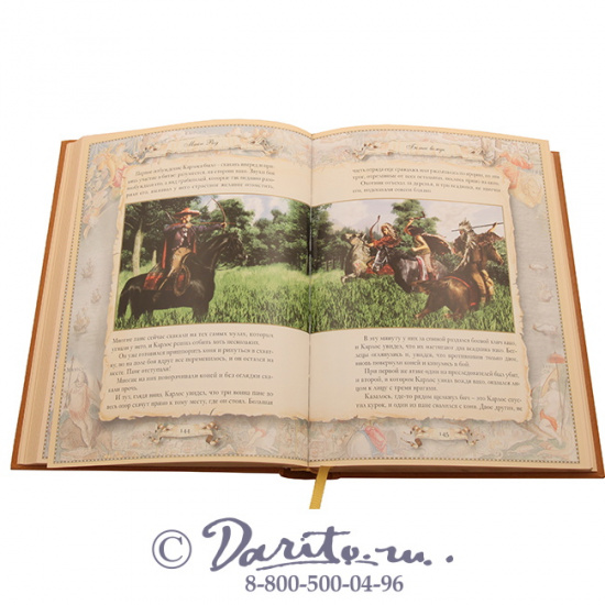 Рид Т. М., Книга «Белый вождь»