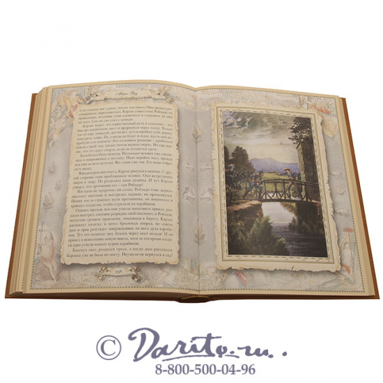 Рид Т. М., Книга «Белый вождь»