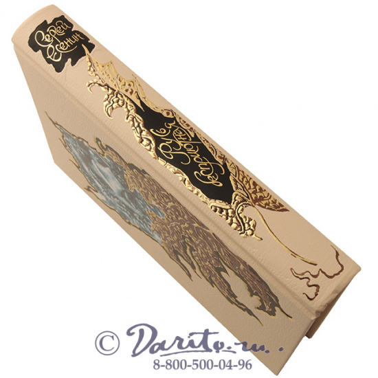 Есенин С. А. , Книга «Русь бесприютная»