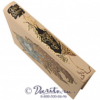 Книга «Русь бесприютная»