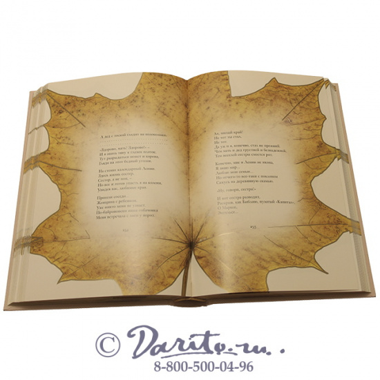 Есенин С. А. , Книга «Русь бесприютная»