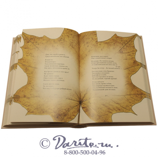 Есенин С. А. , Книга «Русь бесприютная»