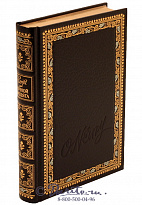 Книга «Ночной бродяга»