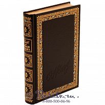 Книга «Ночной бродяга»