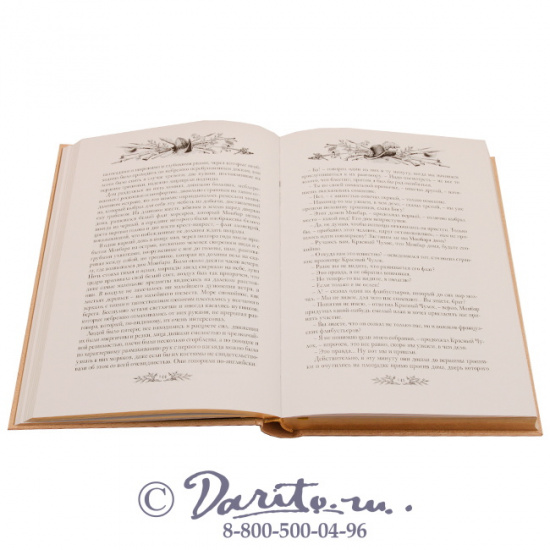 Эмар Гюстав , Книга «Авантюристы»